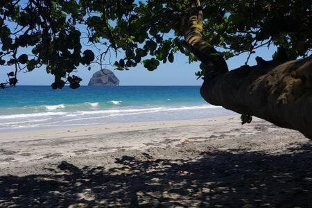 Le Chant Du Diamant Calme Vue Mer Et Plage A 50 M Le Diamant Dış mekan fotoğraf